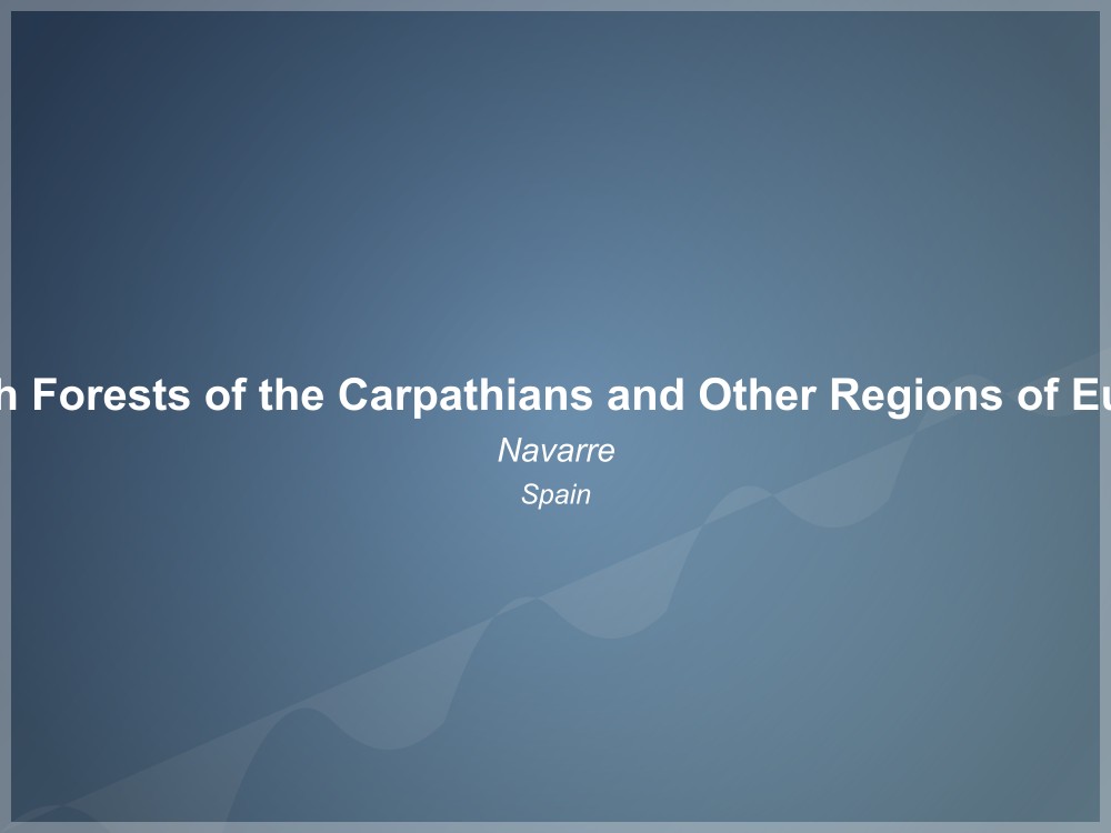 Ancient and Primeval Beech Forests of the Carpathians and Other Regions of Europe - Hayedos de Navarra - UNESCO World Heritage Site in Spain